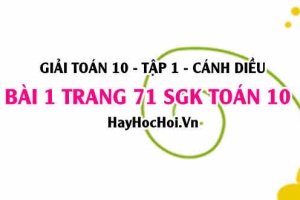 Giải bài 1 trang 71 Toán 10 Tập 1 SGK Cánh Diều